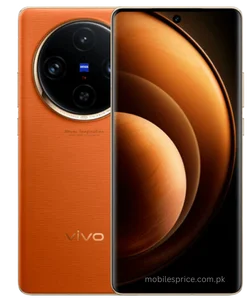 vivo x100